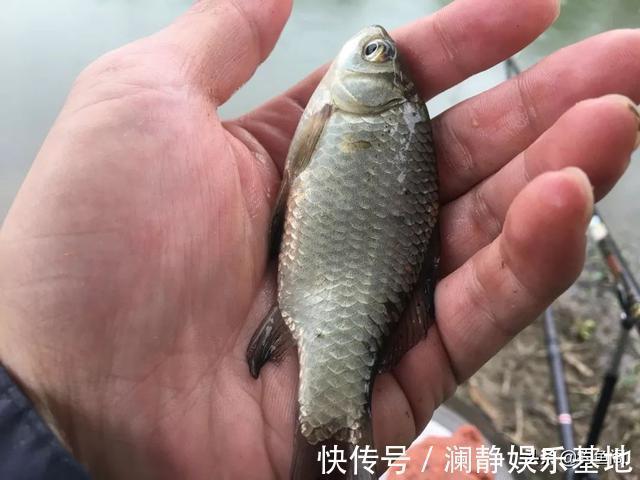 短子线|“长子线钝、短子线灵”,野钓该用多长的子线,可别搞错了