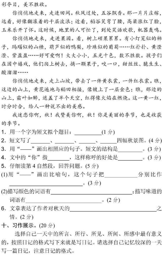 必练|期中备考┃部编语文三年级上册：一、二单元 （基础卷+提高卷），冲刺必练