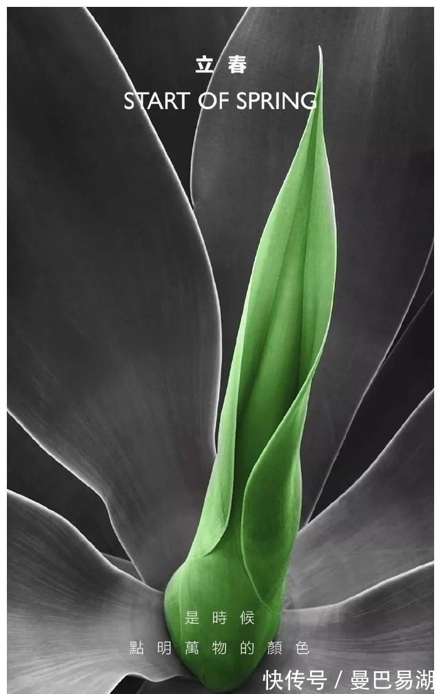 豪宅|“中国第一豪宅”汤臣一品,文案海报有多秀