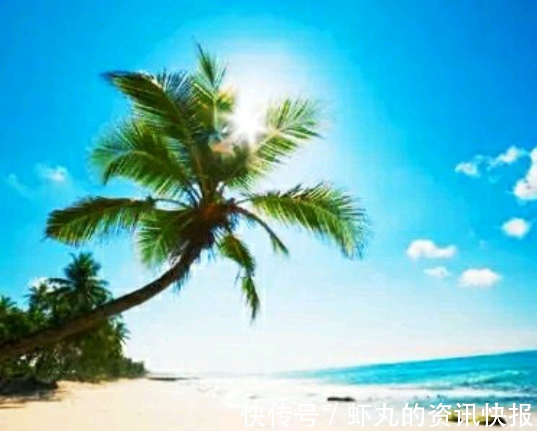 甜蜜收获$人生中的甜蜜收获,大都是从苦痛中来的