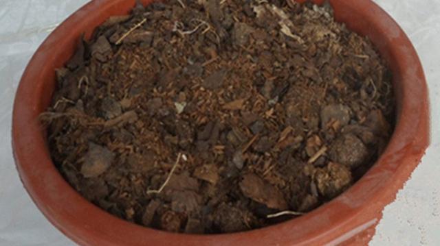 养花25年,就认准了这种土,十年不换盆都啥事没有!