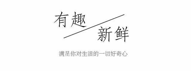 木匠|古代木匠为什么不用钉子 这15张动图带你了解榫卯的强大!