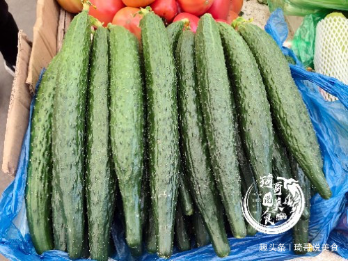琦哥|打了激素的黄瓜怎么辨认菜农教你一招，看一眼就认出！