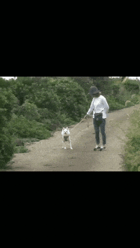 |搞笑段子王:小姐姐,你是有什么高兴事吗?,这样走路小心挨打哦