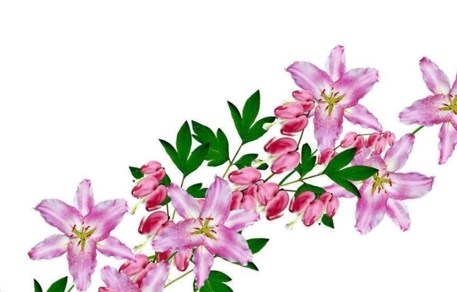 财运|11月财运一鸣惊人,日子越过越顺畅的3生肖