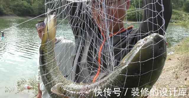 鳊鱼|浅谈秋天钓鱼的天气,对应目标鱼和钓位,选准才有好收获