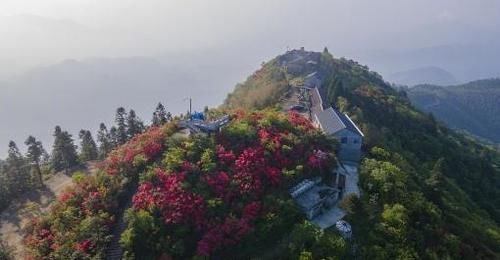 杜鹃花开，染得群山一片红