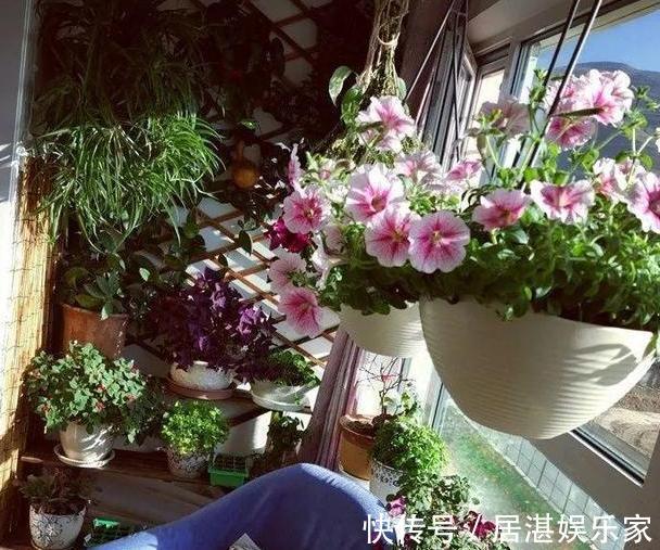 腐叶土|养花缺不了营养土不想要花钱买,就添加上它们,比买的还好