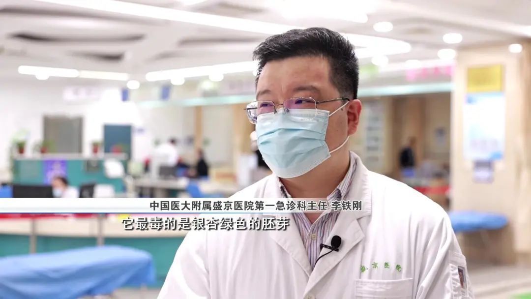 腹泻腹痛|把银杏果当保健品吃?专家提醒!