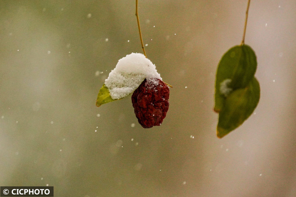 豫园|新疆哈密迎来降雪降温天气