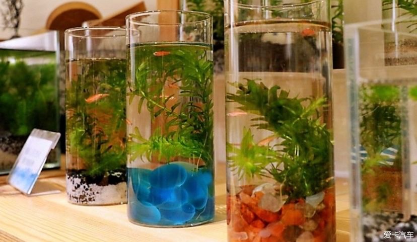 冬天的峨眉一个童话般的冰雪世界，真是美不胜收