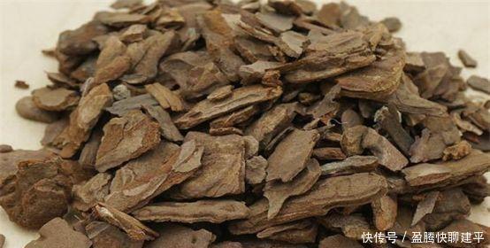 松树皮|兰花总是烂根叶黄土里加1样东西,让兰花根壮叶绿