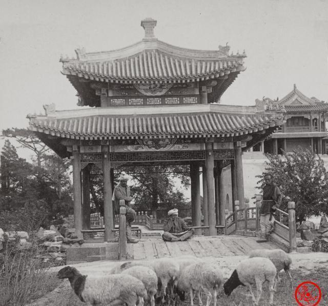 老照片|晚清老照片:小脚贵妇穿华丽汉服,新婚夫妻表情严肃