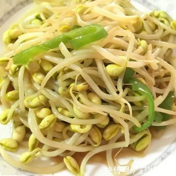 黄豆芽|黄豆芽和绿豆芽,都是豆芽,那营养一样吗?二者可是不同的哟~