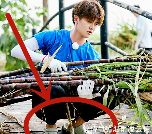 任嘉倫|任嘉倫在《向往》下地干活時(shí),誰看到他穿的鞋子?真當(dāng)自己沒女粉