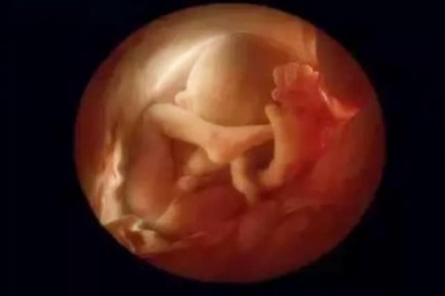 智力|新生儿身高越接近这个值，说明大脑发育得不错，爸妈可以偷着乐了