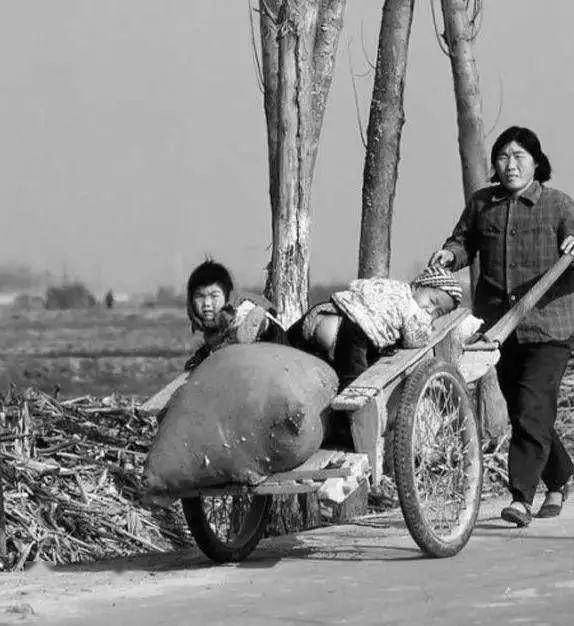 庄稼$当代散文｜|远去的地排车