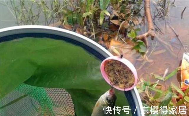 pe线|秋季野钓江河，最强的几种远投钓法，不挂底、不散窝，专门钓大鱼