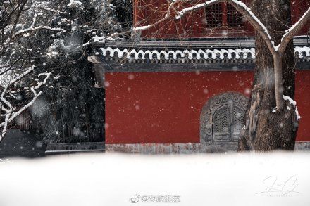 初雪|初雪遇大寒 瑞雪兆丰年