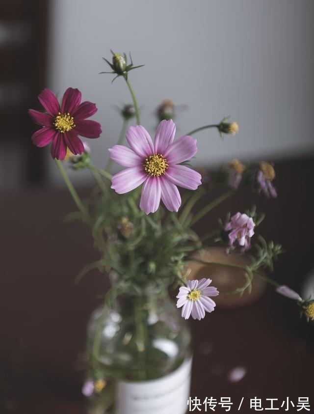 追求完美|桃花缠身，前缘未尽，旧爱回眸，爱过，再爱一回，一生相随