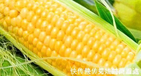 豌豆苗|会吃的人才健康,推荐以下食物,疏通血管,对抗衰老,增强免疫力