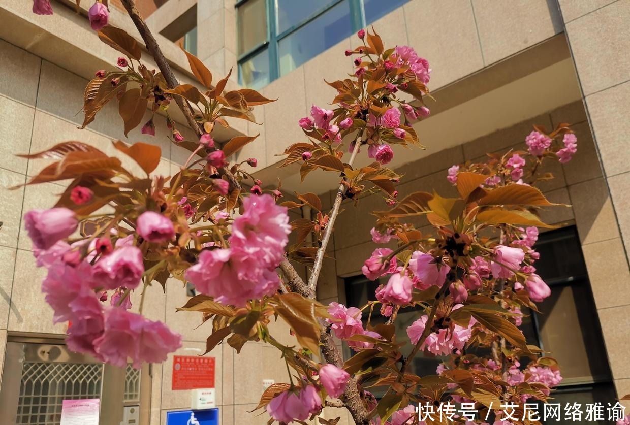 长久之计|曾国藩:居官不过偶然之事,居家乃是长久之计