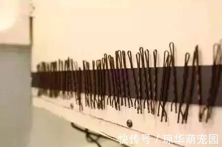 数据线|有了这36个生活窍门,生活都机智起来了!