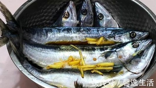 万滚鱼|做鲅鱼,最好不要加水炖,牢记2点,鱼肉鲜嫩不腥气,味道格外香