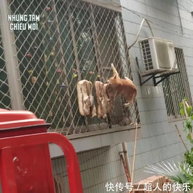 |拍迪士尼烟花翻车现场  冷段子2008