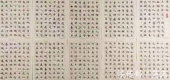 张新华|书法家张新华——笔耕不辍,游云惊龙