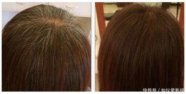 这种花是天然“染发剂”,阳台种几盆,白发去无踪