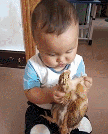 无知|“人在医院能无知到何种程度?”哈哈哈哈哈