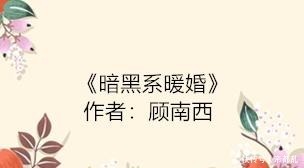 精彩节选|暖婚甜文我对你的爱,可以用余生慢慢倾诉