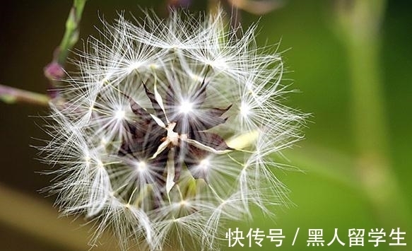 巨蟹|8月福气缠身，四星座将好运天天到，事业顺畅横财连发