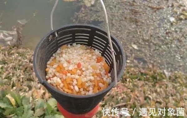 配方|告别一学就会一开就废,只要掌握这几点,小白开出的饵料也能连杆