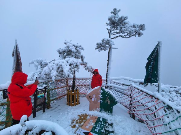 老界岭|南阳老界岭迎来连续降雪 厚度达25厘米