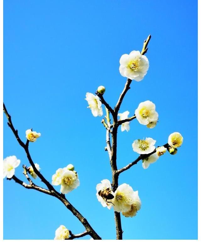 天蝎座|内外兼修，既有大将之风，又有细腻温柔的星座，温润如玉！