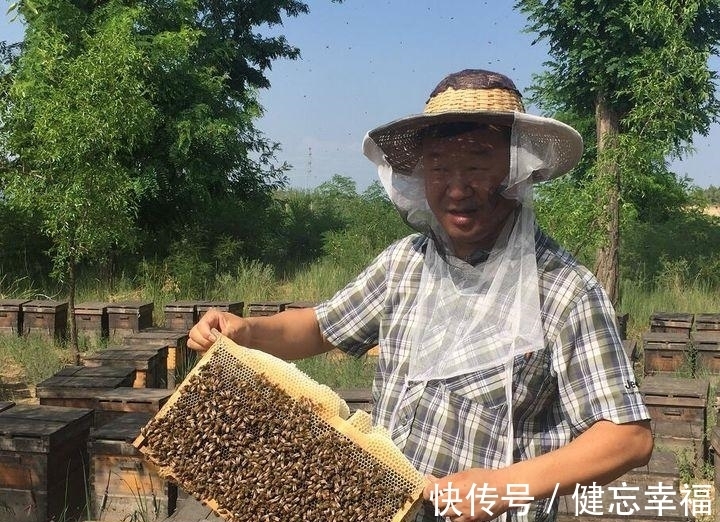 中药|蜂蜜在中药中的作用? 蜂蜜的作用与功效