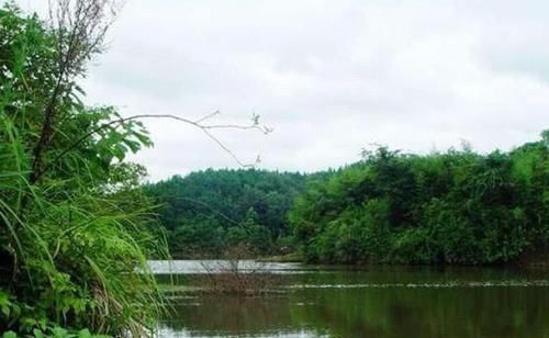 鳙鱼|手竿如何垂钓大头鱼,重点就是饵要轻雾化好,我从四个方面说明