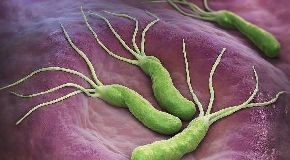 健康|幽门螺杆菌害怕什么?饮水时加“一物”,胃病会不攻自破!