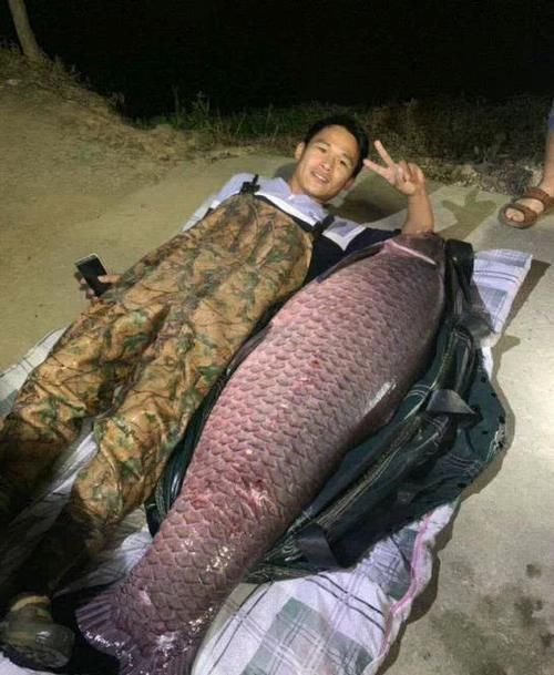 钓不到鱼就扛走牛男子花千元水库钓鱼却空军，气愤下报复水库主