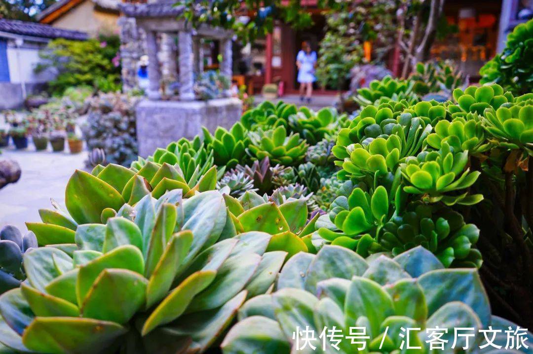 尼姑庵|不烧香只种花！网友心中最美尼姑庵、最文艺寺庙连韩红都慕名而来