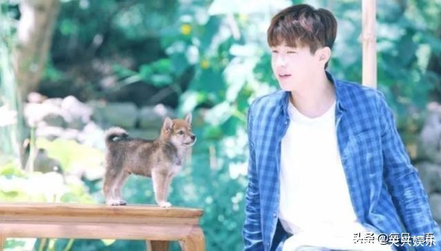  姐姐|明星和综艺刘宪华离开《向往》被吐槽，吴昕在《姐姐》被吹爆