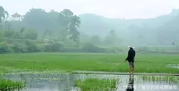 钓鱼,窝中有鱼不吃钩怎么办?