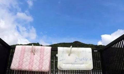 外国人|为什么中国人要晒被子,而外国人却从来不晒看完长见识