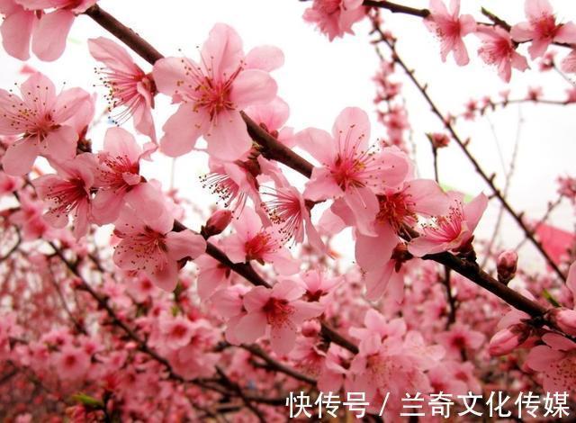 |2首滑稽搞笑的诗词,文采飞扬,记录下千年前的人间百态