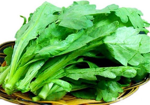 茼蒿茼蒿|女性要排毒,离不开4种食物,滋阴降火,净化血液,滋养女性子宫