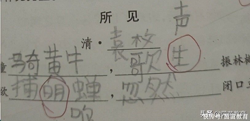 孩子错别字多，应该多练字吗？家长来看看