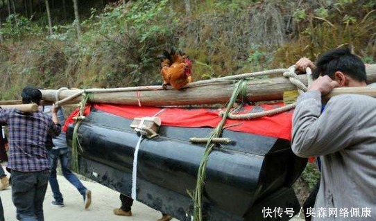 中国人的讲究:同为祖先沉睡之所,“坟、墓、冢、陵”有何区别?