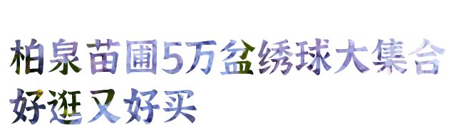 5月最好看的地方在这里！收好武汉初夏的浪漫攻略